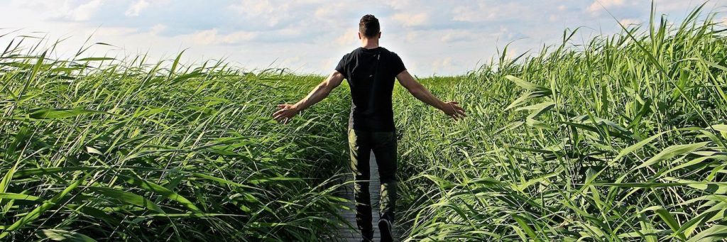 man facing backward walks along footpath between green field in blue cloudy sky