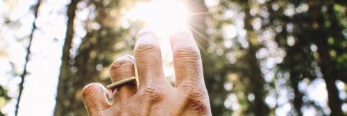 hand shining sun in forest