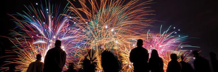 people watching new year celebration firework