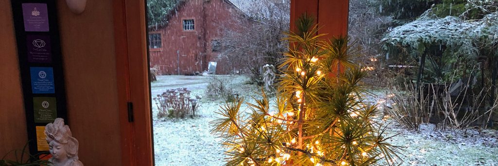 beautiful lights on tree beside snowy area