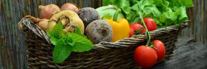 healthy vegetables capsicum tomato cabbage onion potato