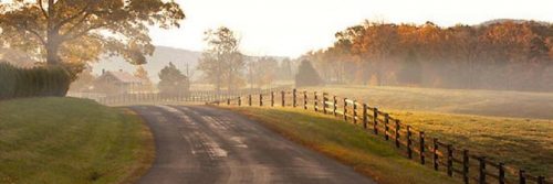 footpath between yellow green grass in sunny foggy sky