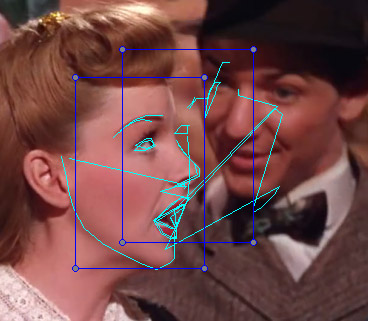 FAN align confuses faces