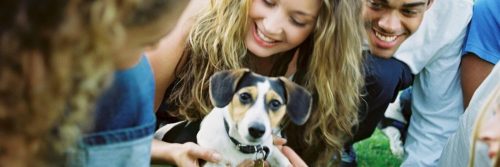 two women one man look smile at puppy
