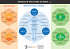Humans in the Future of Work