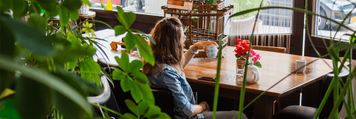 woman sits in office facing backward lifting white mug from timber table green plant pots